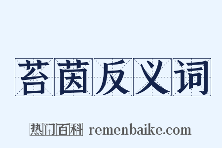 苔茵反义词是什么意思的图片